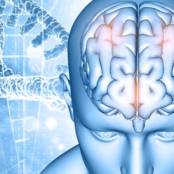 韓后 光生物調節療法 PBM是一種非侵入性的療法,利用雷射光誘導細胞增生並增強幹細胞的分化,活化血液的粒線體,刺激活化組織和器官,治療神經系統的疾病,如中風、阿茲海默症、腦神經退化、失眠、緩解疼痛和減少發炎,同時也會增強組織的癒合與修復...