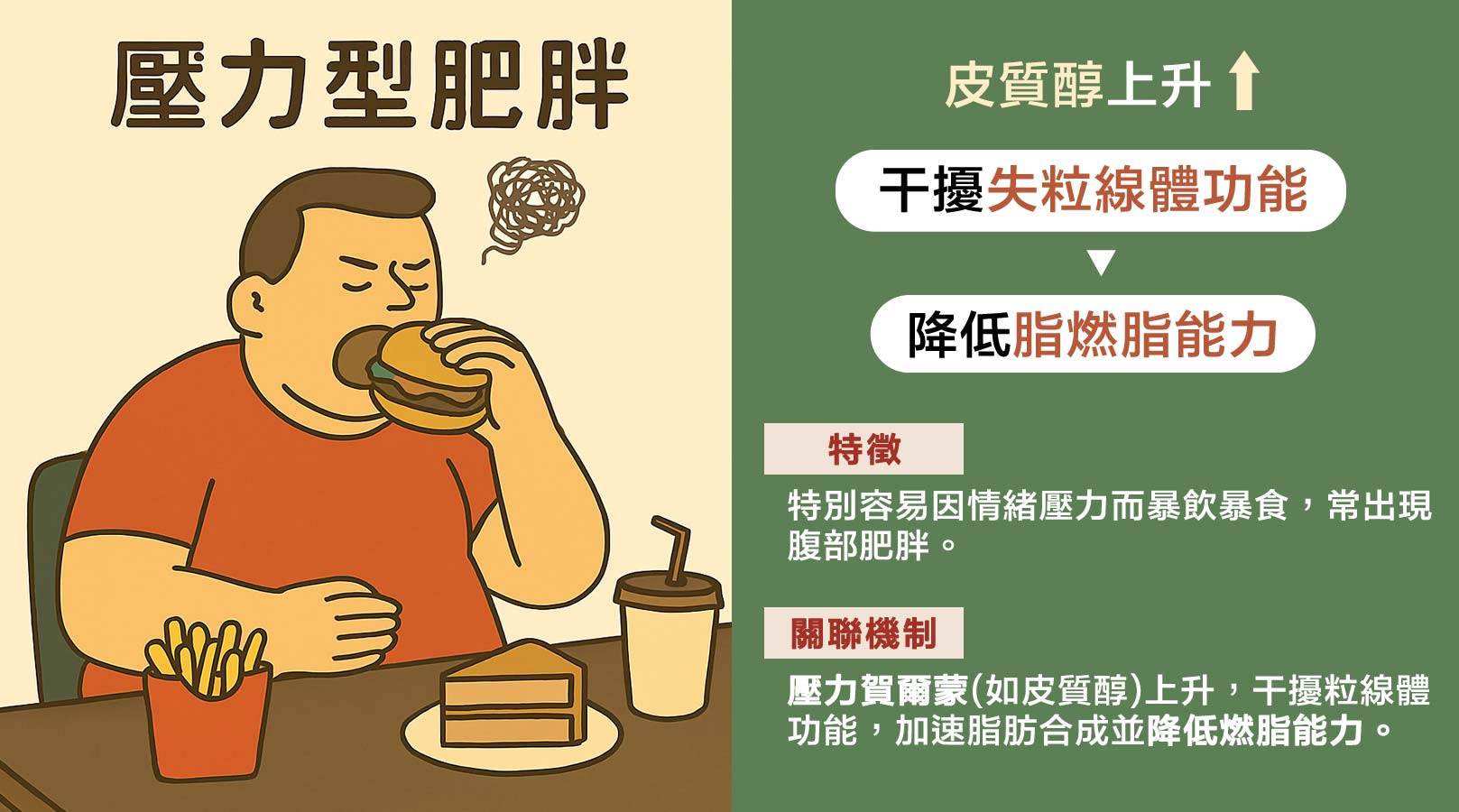 壓力型：壓力大、睡不好，脂肪越積越多？韓后醫美