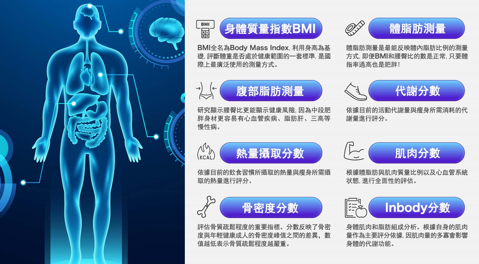 身體質量指數BMI,心血管分數,體脂肪測量,代謝分數,熱量攝取分數,骨骼分數,肌肉分數,易瘦分數,健康指數,Inbody分數,內臟脂肪分數,腹部脂肪分數,骨密度分數,inbody分數,粒線體,韓后醫美