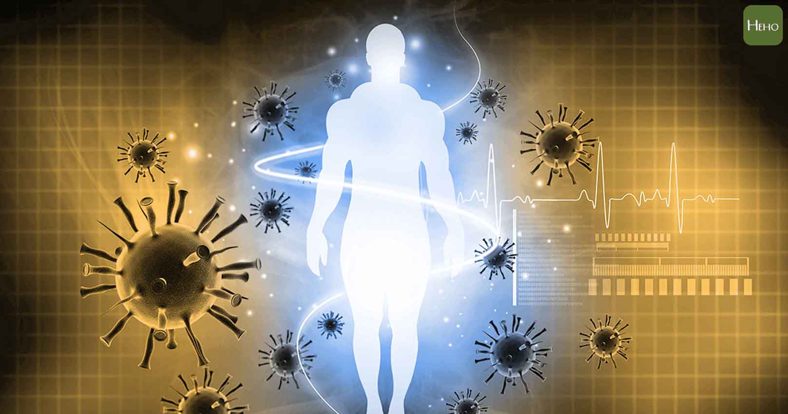 韓后醫美 硒與人體免疫的關係。