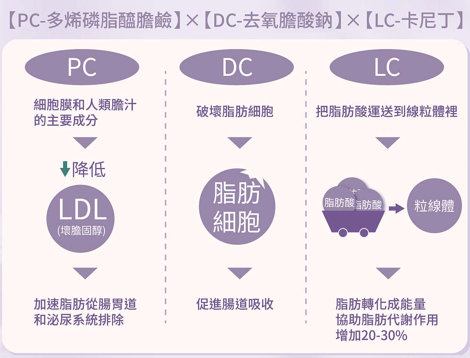 韓后醫美,消脂點滴,燃脂點滴,代謝點滴,減脂點滴,肝得健 主要成分為多烯磷脂醯膽鹼(Phosphatidylcholine，PC)、去氧膽酸鈉(Deoxycholate，DC)和卡丁尼(L-carnitine)3種。