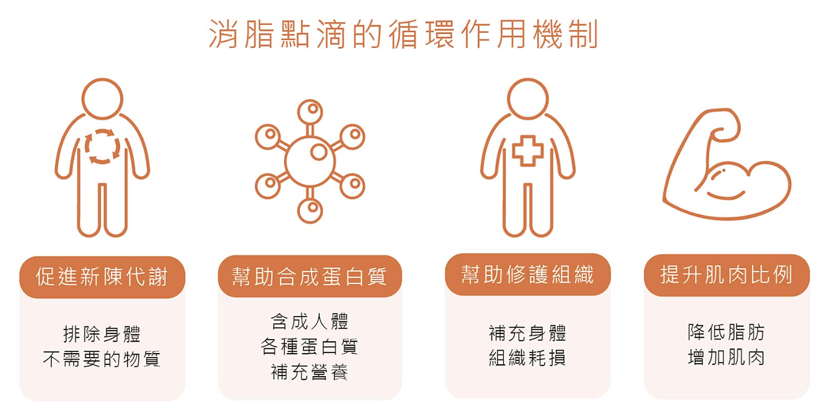 韓后醫美,消脂點滴的循環作用機制：1.促進新陳代謝：排除身體不需要的物質。2.幫助合成蛋白質：含成人體各種蛋白質補充營養。3.幫助修護組織：補充身體組織耗損。4.提升肌肉比例：降低脂肪增加肌肉。
